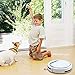 ILIFE V3s Pro Robotic Vacuum Pet Hair Care, Powerful Suction Tangle-free, Slim Design, Auto Charge, Daily Planning, Good For Hard Floor and Low Pile Carpet (Renewed)