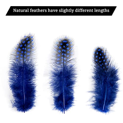 Tharaht Spotted Feathers 120Pcs 2-3Inch Small Natural Bulk Guinea Pheasant Feather For Crafts Hats Dream Catcher Decoration Feathers,Blue #TOP2