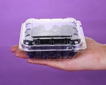 Hewnda 50 Paket Plastik Berry kabı, 4oz Yaban mersini, Kiraz için