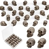 24 PCS Mini Skull Heads, Miniature Skeleton Heads Figurines, Tiny Resin Skulls for Crafts Halloween Party Micro Landscape Cake Topper Plants Outdoor Decoration