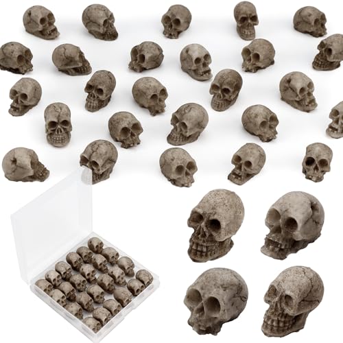 24 PCS Mini Skull Heads Miniature Skeleton Heads Figurines Tiny Resin Skulls for Crafts Halloween Party Micro Landscape Cake Topper Plants Outdoor Decoration