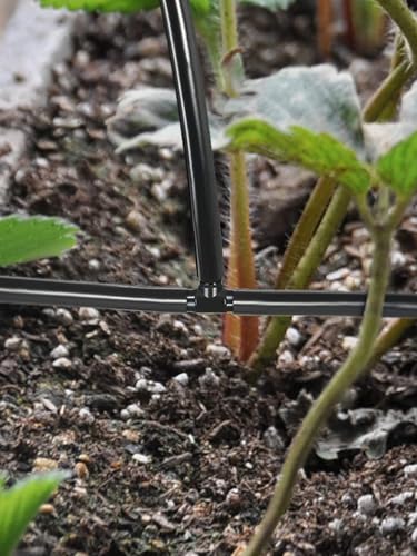 Kalolary 100Pcs Sprinkler Bewässerung 4/7mm T-Stück Barb Schlauchverbinder PVC Berieselungs, Bewässerungsschlauch Zerstäubungsdüse Tropfen Mikro Spray Bewässerungs Gelenk