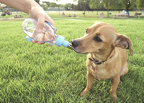 Image of Choco Nose No-Drip Portable Travel Water Bottle for Small Dogs & Cats - Lockable Leak-Proof Design Prevents Spills in Bags & Cars, Outdoor Feeder for Puppies & Toy Breeds, 8 fl oz (C258)