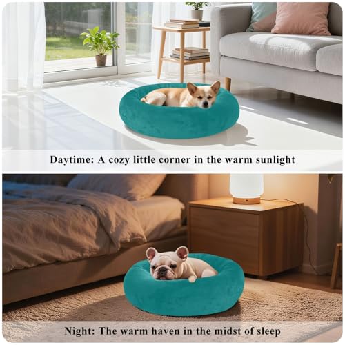 Panier d'hiver lavable bleu sarcelle taille S pour petit chien - 5