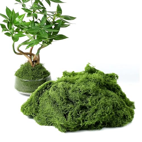 LIIAFUO 3.5 Oz Fake Moss for Plants Indoor, DIY Decorative,