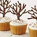 Wilton Nonpareils 6-Mix Sprinkle Assortment, Bright Rainbow Sprinkles for Cakes, Cupcakes, Cookies & Desserts, Colorful Baking Decoration for Birthdays & Holidays, 3 oz.