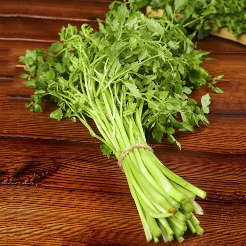 semillas de berro - perennes resistentes raras orgánicas variedades antiguas 400pcs