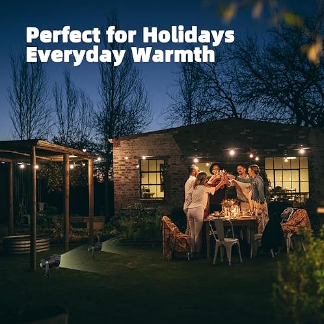 LED Outdoor Landscape Spot Lighting - 120V 12W Warm White Waterproof Spot Lights for Yard House Flag Tree, Lighting Decorations for Christmas Halloween(2 Pack)