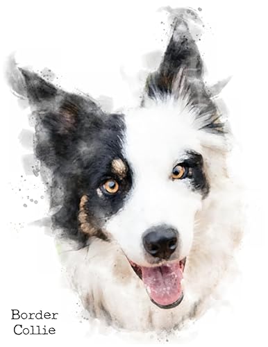 Border Collie Black Tricolour, Notebook, 120 blank lined pages, 8.5 by 11