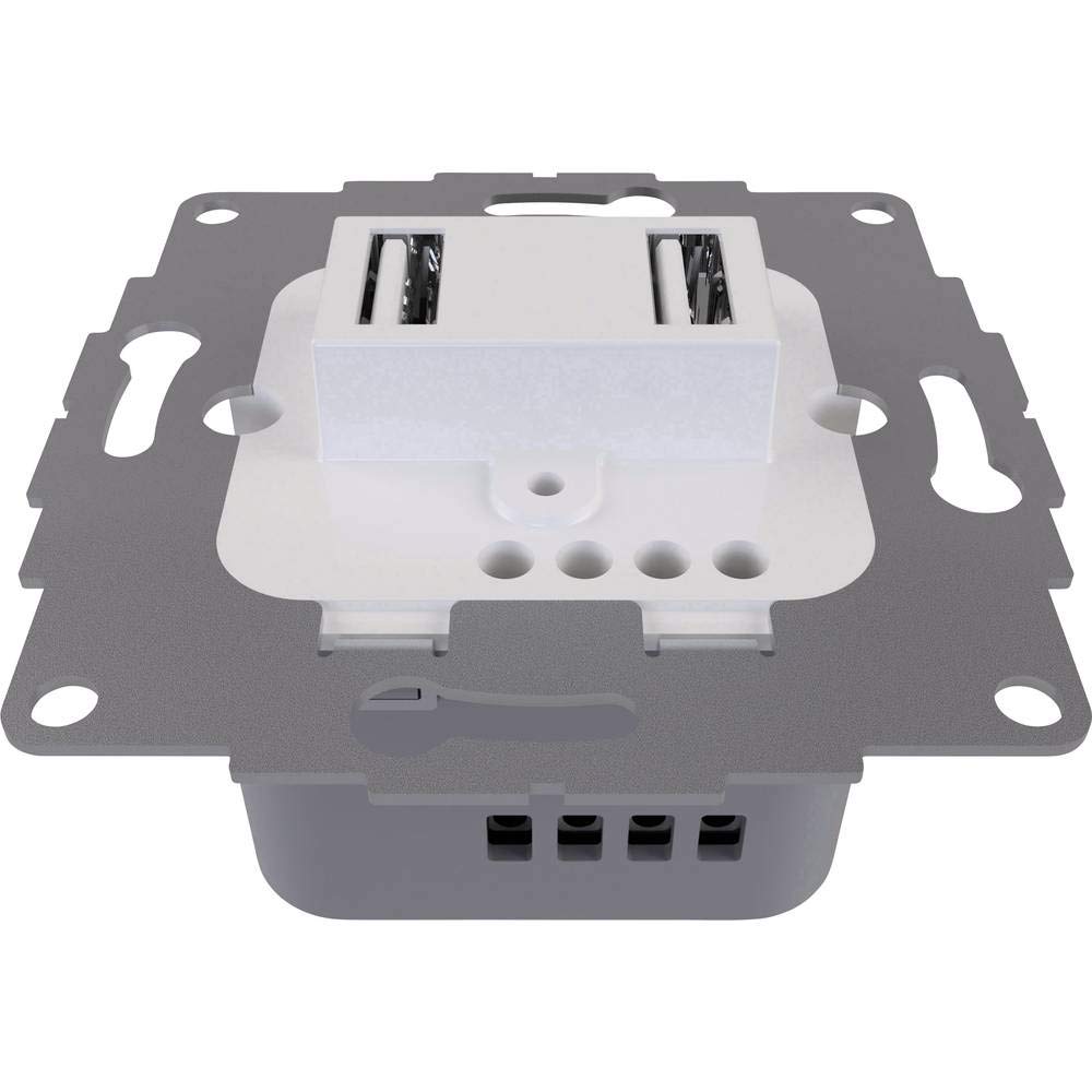 2USB 2U-449474 simple Montage encastré IP20 gris clair