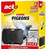 Acto   Répulsif Ultrasons Pigeons
