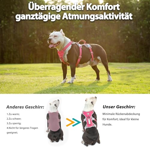 Hunde Sicherheitsgeschirr, Hundegeschirr kleine hunde, Reflektierendes Geschirr mit Gepolstertem Griff, Wasserdicht, Verstellbare Weste für Kleine Hunde Zum Gassi Gehen, Trainieren (Rosenrot,S)