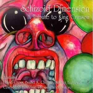 Schizoid Dimension: King Crimson Tribute [Audio CD]