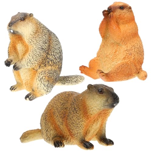 TOYANDONA Figurines Marmottes Réalistes 3 Pièces Modèles Éducatifs en Plastique Résistant pour Bureau et Chambre Décoration Animaux Miniatures