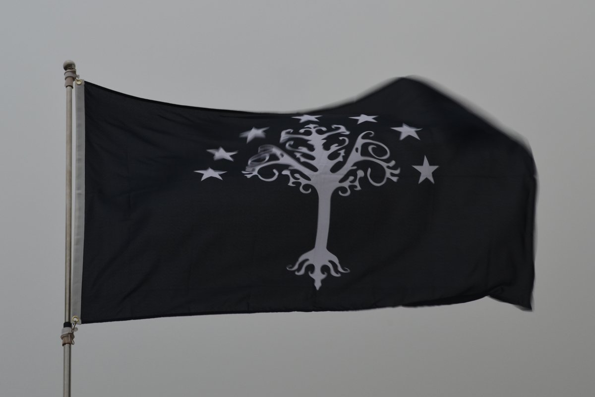 Fyon Duża flaga Gondora od J. R. R. R. Tolkiens flaga Śródziemia 9 x 1,5 m