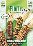  Flortis 4351112 Ziermais Mischung (Ziermaissamen)