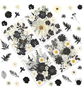 LUXEEASE 90P Black &amp; White Dried Flowers for Crafts, Real Natural Pressed Flowers in Halloween-St...