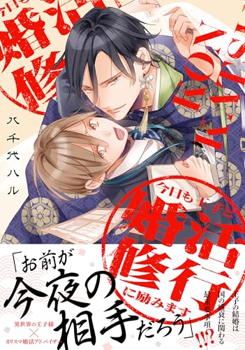 今日も王子と婚活修行に励みます【電子限定描き下ろし漫画付き】 (gateauコミックス)
