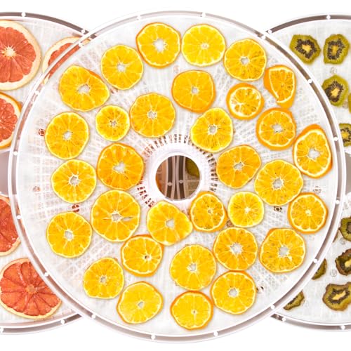Lconvicely Papel pergaminho redondo de 27,4 cm com furo, tapetes desidratadores de frutas antiaderen