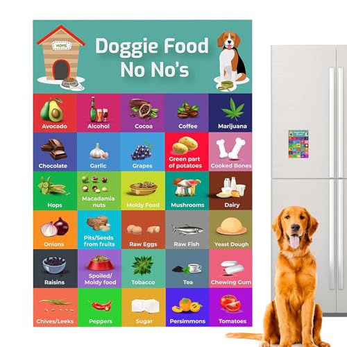 Lunaobrik Lista de alimentos seguros para perros – Guía colorida