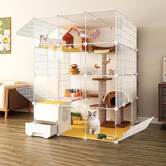 アゲハ蝶 ブルメイアゲハ 標本 ガラスケース 【公式通販】