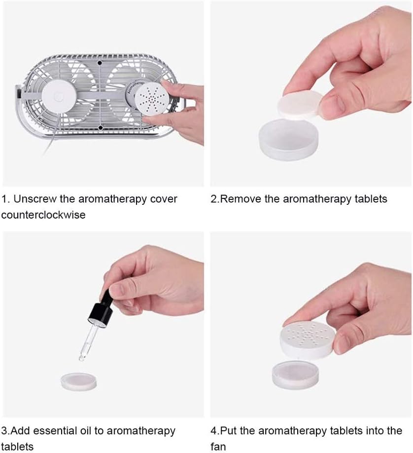 Mini Desk Fan. 3 Speeds, 10 Blades, Modes with Aromatherapy Box， Powered ， for The Office and Home(Gray)