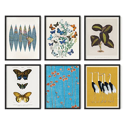 HAUS AND HUES Gallery Wall Art Set of 6 - Vintage, Abstract, Boho, Nature, Coastal and Aesthetic Posters for Room Decor (Eclectic, 11x14, Black Framed)