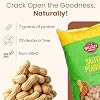 Wellsley Farms Salted Roasted Peanuts In Shell, USA Grown Whole, Non-GMO, Gluten-Free, Vegan, Cholesterol-Free, Shell-Cracking Snack for Game Day, BBQ & Travel, 5 lb Bag