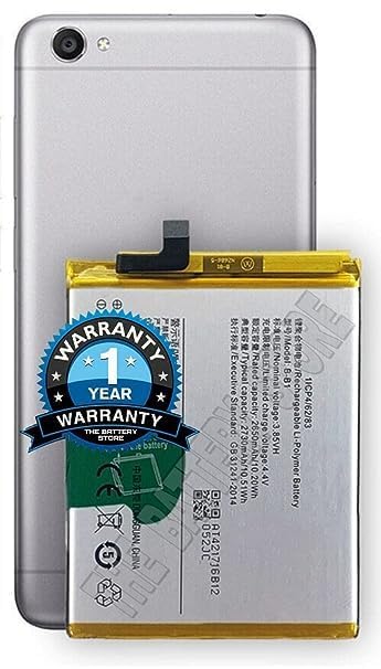 Image of THE BATTERY STORE Original B-B1 Battery for Vivo Y55 Y55A Y55L Y55S Battery with 1 Year Warranty **** (PPP86)