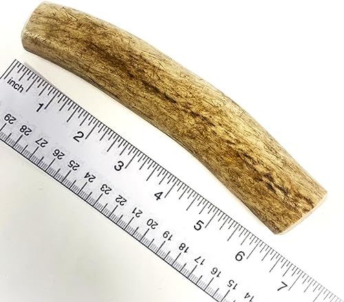* New * Antler Dog Chews Medium x 2 (Weight - Medium 75-149g), (Size May Vary) Premium Quality Natural Dog Chew Treat Hypo-Allergenic Dog Chew SHC - Image 2