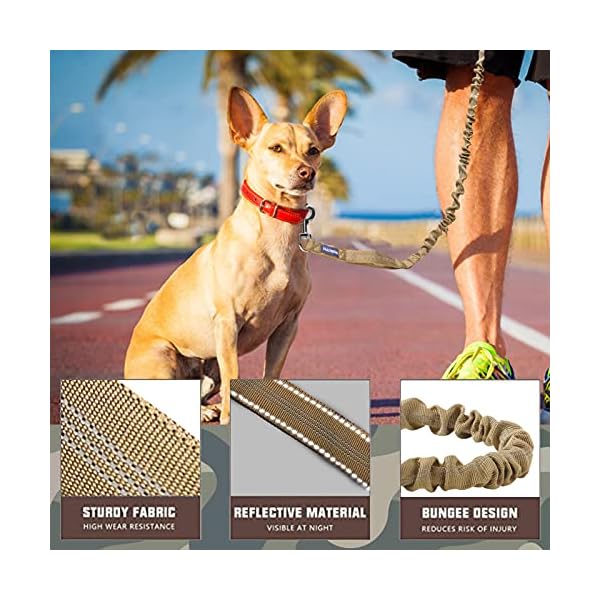 No Pull Dog Leash for Shock Absorption Buy Online