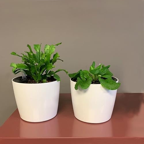 Miniatura 9 de KINJOEK Paquete de 4 macetas de riego automático de 7 pulgadas con indicador de nivel de agua, maceta blanca decorativa de jardín moderna para