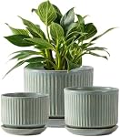 Ceramic Plant Pots Set of 3, 4.3+5.5+6.7 Inch Indoor Flower Pots with Drainage Hole & Saucer & Hole Mesh Pads, Striped Decorative Planter Set for Indoor Plants (Green)