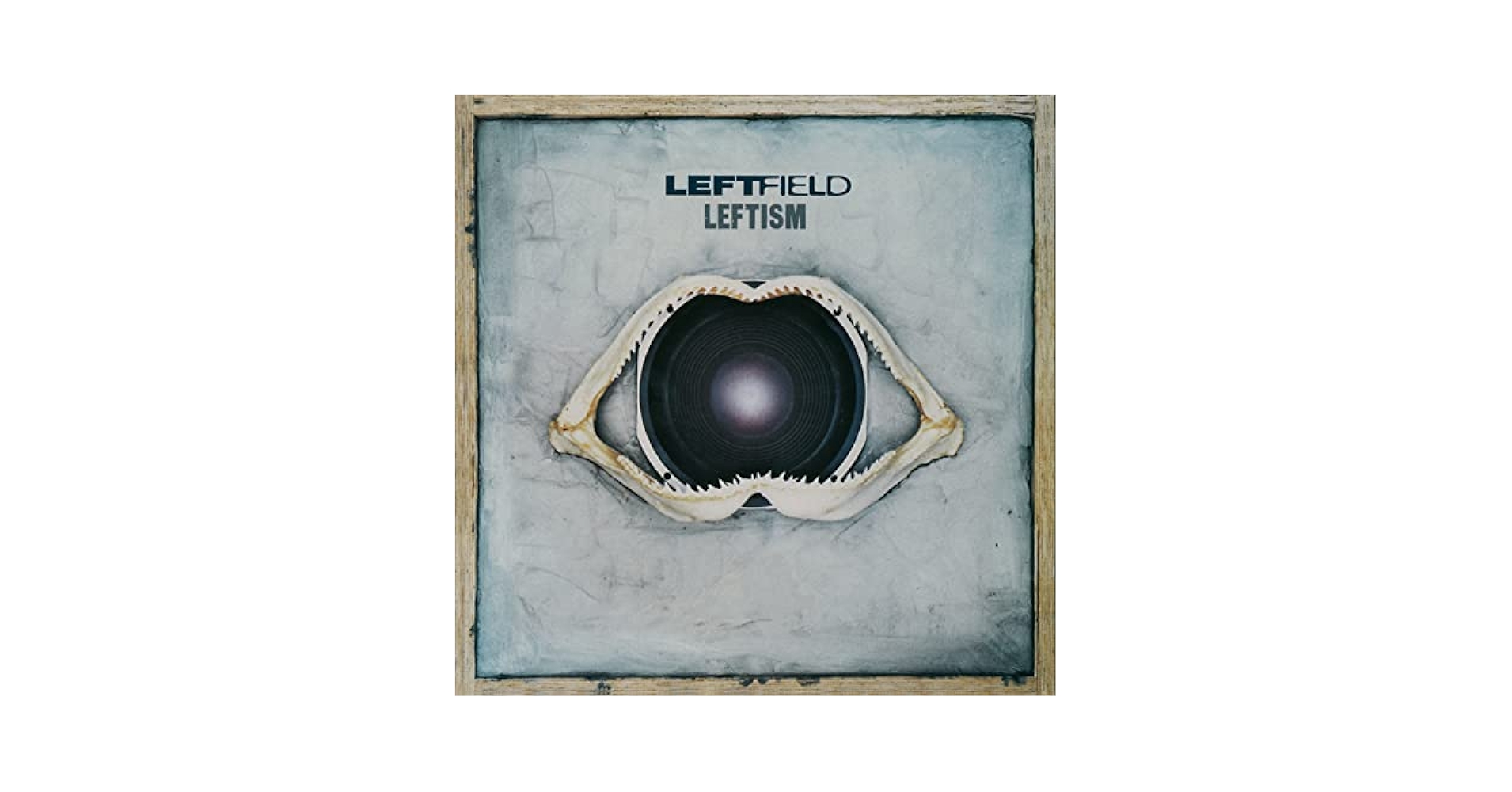 英2discs LP Leftfield Leftism HANDLP2D HARD HANDS /00660 Leftfield - Leftism - Amazon.com Music