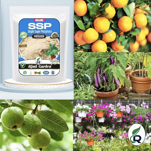 Image of Rimi Garden Ssp Single Super Phosphate, Essential Organic Fertilizer For Plant Growth With ++ Charged Growth Microbes(900 Gm), Powder