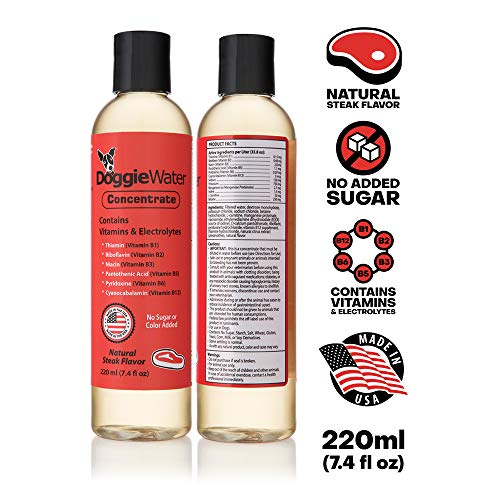 Dog Vitamins And Supplements - Dog Multivitamin - Dog Supplement - Liquid Vitamins