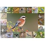 capirossi altezza e peso Puzzle di qualità Premium: i pezzi di punzonatura assolutamente precisi consentono poliedricità di forme e componenti del puzzle esatti. Viene utilizzato esclusivamente cartone per puzzle blu di altissima qualità, con uno spessore Premium di circa 2 mm. A protezione del puzzle, questo viene rivestito con una vernice protettiva ecologica e a base d'acqua, quindi è estremamente stabile e resistente ai graffi.