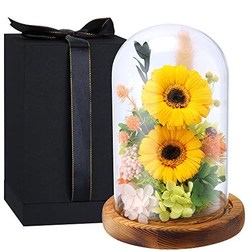 norhor ひまわり プリザーブドフラワー ヒマワリ プレゼント 母の日 父の日 向日葵プリザーブドフラワー ボックス 太陽花 花束プレゼント sunflower フラワーアレンジ 本物ので手作り保存花 枯れない花 大き2輪 ガラスドーム 灯付き お祝い