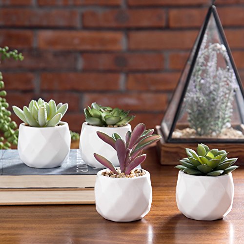 MyGift Mini Assorted Artificial Succulent Plants in White Geometric Ceramic Planter Pots, Set of 4 MyGift Mini Assorted Artificial Succulent Plants in White Geometric Ceramic Planter Pots, Set of 4
