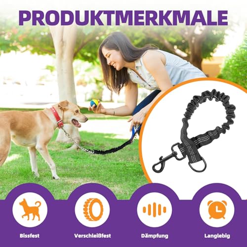 Elastische Hundeleine Ruckdämpfer für Hunde Leine - Nylon-Kurzleine mit Reflektorgarn, Dämpfung beim Fahrradfahren, für mittlere und große Hunde (2.5 * 42cm)