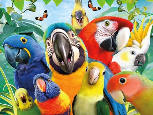 Ceaco - Perfect Parrot Selfies - Rompecabezas de 500 piezas para adultos con arte de Howard Robinson, hecho en EE. UU., cartón reciclado, tamaño terminado 21 x 15 in, incluye póster, arte para enmarcar miniatura 2
