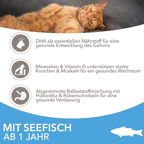 IAMS for Vitality Katzenfutter trocken mit Fisch - Trockenfutter für Katzen im Alter von 1-6 Jahren, 1,5 kg