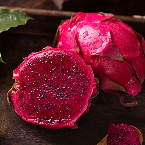 TOYHEART 50 Piezas De Semillas De Frutas De Primera Calidad, Semillas De Pitaya, Suculentas Rústicas, Semillas De Plantas Estéticas De 3 Colores Para Jardín rojo