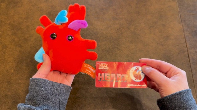 Amazon.com: GIANT MICROBES Heart Plush, Biology Stuffed Animal