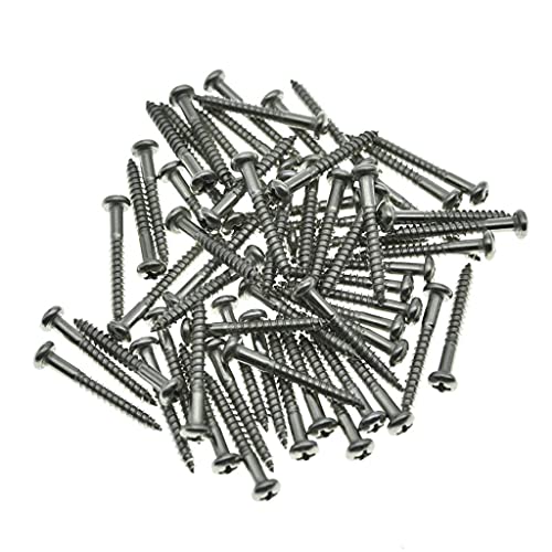 Dopro 60-Pack Stainless Steel Phillips Head Vintage-Style Guitar Tremolo Bridge Mounting Screws for Vintage FD Strat/Stratocaster