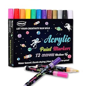 Acrylstiften Voor Schilderen Middelste Lijndikte, 12 kleuren Waterbestendig Permanente Acryl Stiften Markeerstiften…