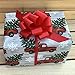 Red Decorative Gift Pull Bows - 5