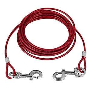 Smandy Tie-Out Leine für Hunde, 5m, Rot