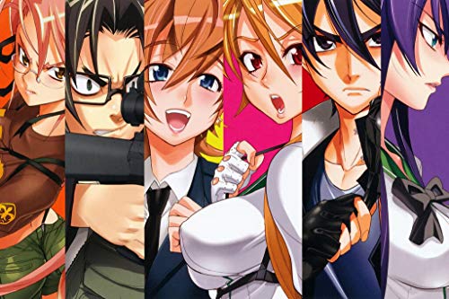 YourSpace 243250 Highschool of Dead Fan Anime Decor Wall 24x18 Poster Print