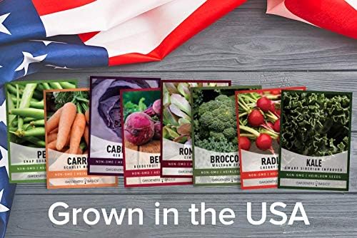 Gardeners Basics Winter, Fall, and Spring Vegetable Seeds for Planting | Cool Weather Crops | 8 Varieties: Sugar Snap Pea, Carrot, Beet, Radish, Lettuce, Broccoli, Kale, Cabbage - Thumbnail 4